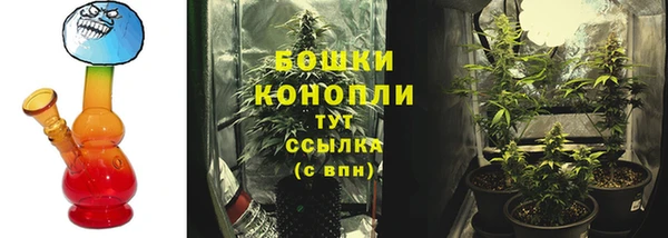 стаф Россошь