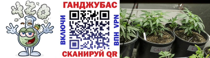 Шишки марихуана THC 21%  Благовещенск 